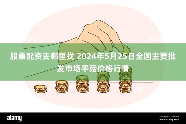 股票配资去哪里找 2024年5月25日全国主要批发市场平菇价格行情