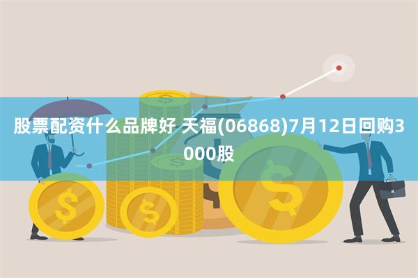 股票配资什么品牌好 天福(06868)7月12日回购3000股