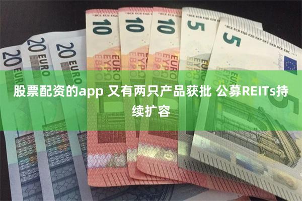 股票配资的app 又有两只产品获批 公募REITs持续扩容