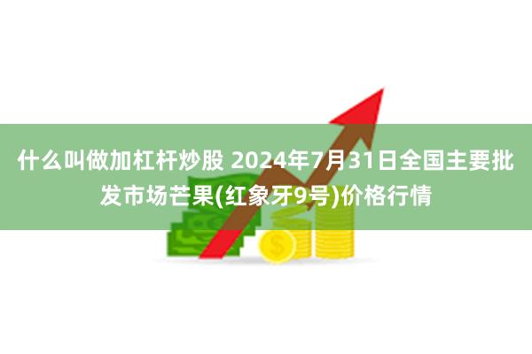 什么叫做加杠杆炒股 2024年7月31日全国主要批发市场芒果(红象牙9号)价格行情