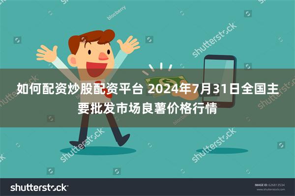 如何配资炒股配资平台 2024年7月31日全国主要批发市场良薯价格行情