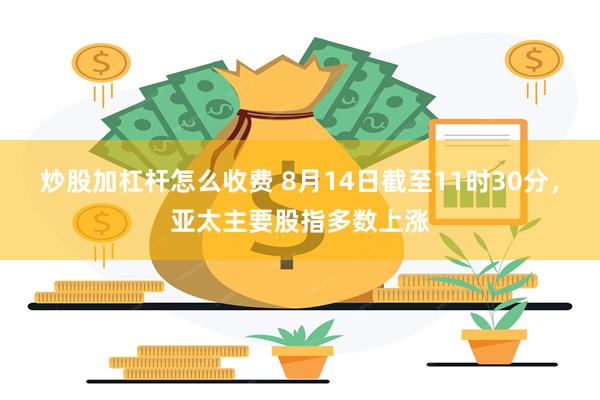 炒股加杠杆怎么收费 8月14日截至11时30分，亚太主要股指多数上涨