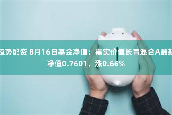 趋势配资 8月16日基金净值：嘉实价值长青混合A最新净值0.7601，涨0.66%