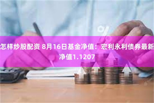 怎样炒股配资 8月16日基金净值：宏利永利债券最新净值1.1207