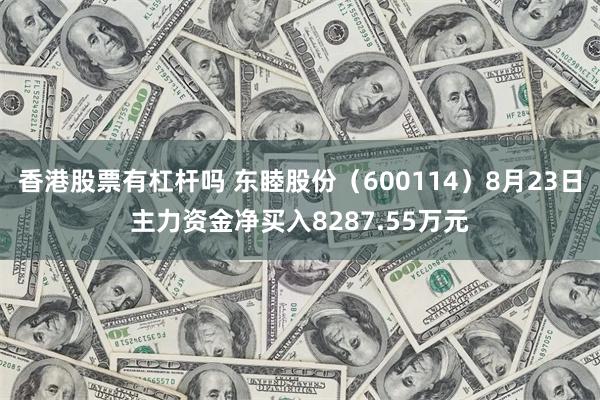 香港股票有杠杆吗 东睦股份（600114）8月23日主力资金净买入8287.55万元