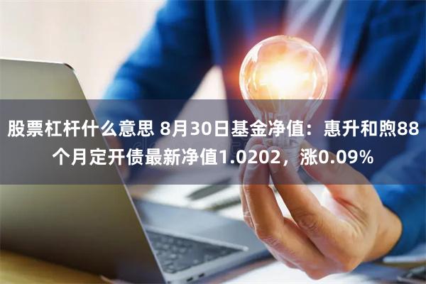 股票杠杆什么意思 8月30日基金净值：惠升和煦88个月定开债最新净值1.0202，涨0.09%