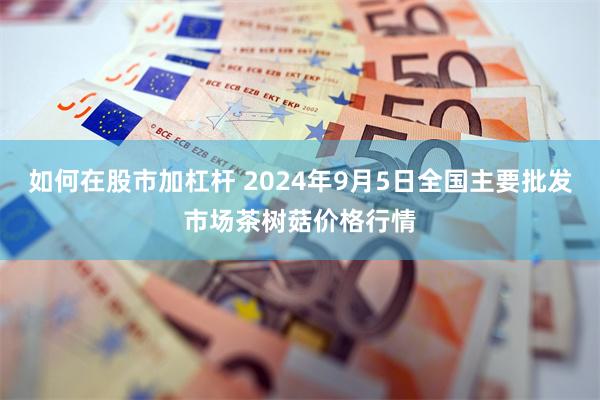 如何在股市加杠杆 2024年9月5日全国主要批发市场茶树菇价格行情