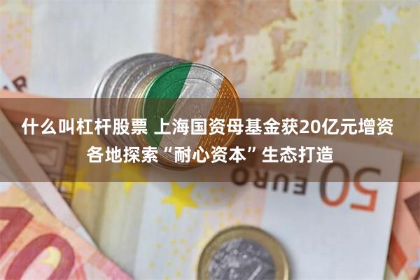 什么叫杠杆股票 上海国资母基金获20亿元增资 各地探索“耐心资本”生态打造