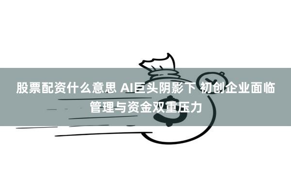 股票配资什么意思 AI巨头阴影下 初创企业面临管理与资金双重压力