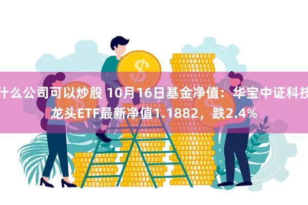 什么公司可以炒股 10月16日基金净值：华宝中证科技龙头ETF最新净值1.1882，跌2.4%