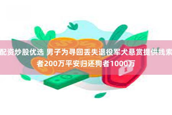 配资炒股优选 男子为寻回丢失退役军犬悬赏提供线索者200万平安归还狗者1000万