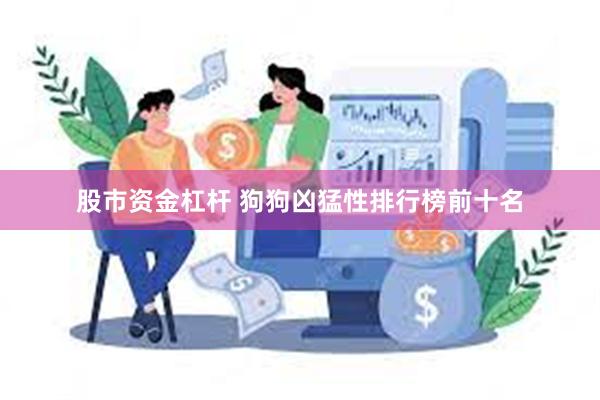 股市资金杠杆 狗狗凶猛性排行榜前十名