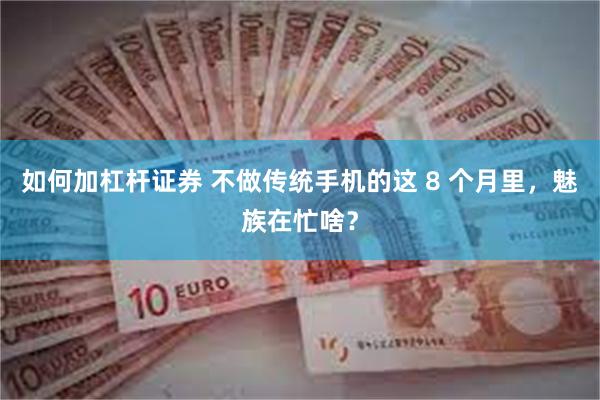 如何加杠杆证券 不做传统手机的这 8 个月里，魅族在忙啥？