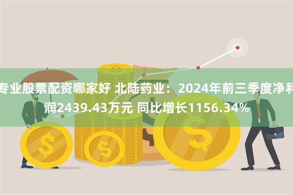 专业股票配资哪家好 北陆药业：2024年前三季度净利润2439.43万元 同比增长1156.34%