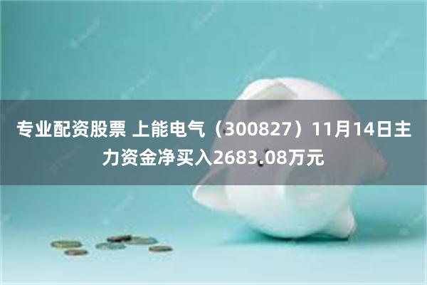 专业配资股票 上能电气（300827）11月14日主力资金净买入2683.08万元