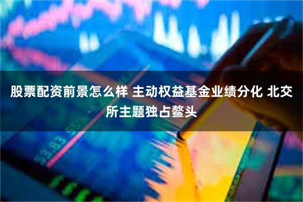 股票配资前景怎么样 主动权益基金业绩分化 北交所主题独占鳌头