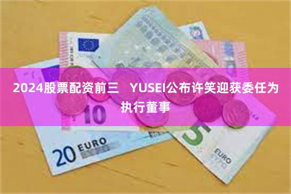 2024股票配资前三   YUSEI公布许笑迎获委任为执行董事