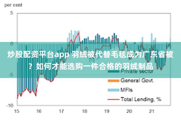 炒股配资平台app 羽绒被代替毛毯成为广东省被？如何才能选购一件合格的羽绒制品