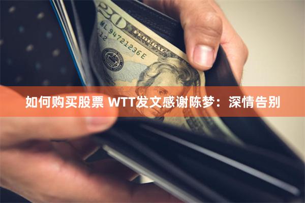 如何购买股票 WTT发文感谢陈梦：深情告别