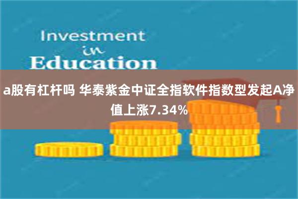 a股有杠杆吗 华泰紫金中证全指软件指数型发起A净值上涨7.34%